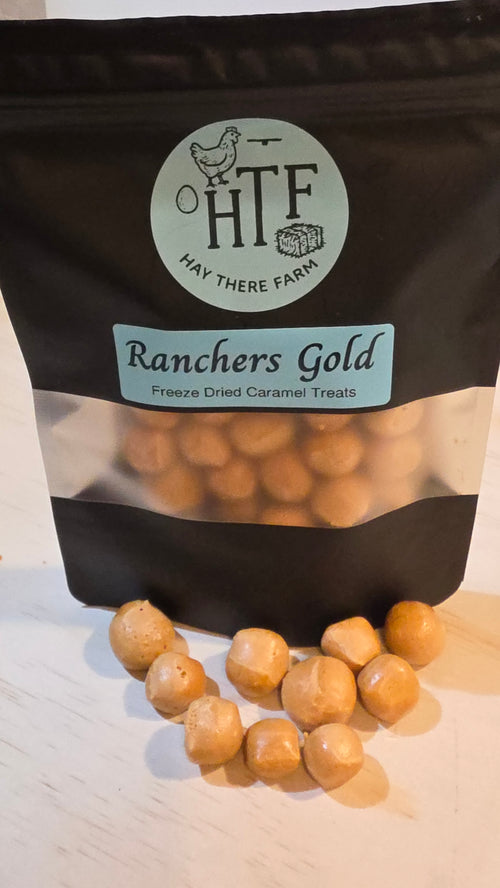 Ranchers Gold 🍯 Freeze-Dried Caramel